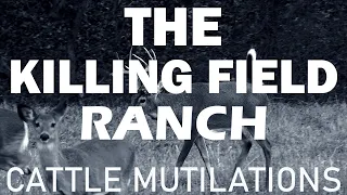 INVESTIGATING BIGFOOT ACTIVITY AT THE KILLING FIELD RANCH PROPERTY | SOMETHING IS KILLING MY CATTLE