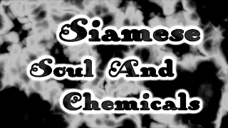 Siamese - Soul and Chemicals [Lyrics on screen]