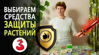 Как ГРАМОТНО подобрать СРЕДСТВА ЗАЩИТЫ РАСТЕНИЙ