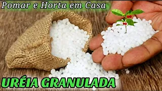 URÉIA GRANULADA, PARA QUE SERVE E COMO USAR?