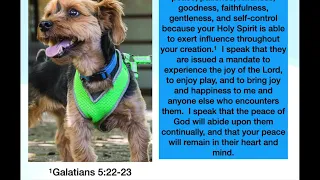 Prayer for Pets