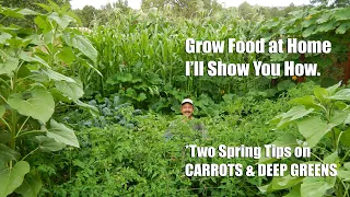 Grow food at home for health and self-reliance. (My best tips during Covid-19)