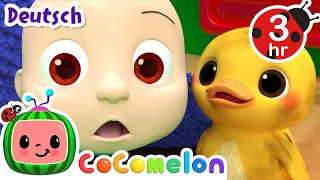 Das Entensuchlied | CoComelon - JJ's Animal Time Deutsch | Tierlieder | Cartoons und Kinderlieder