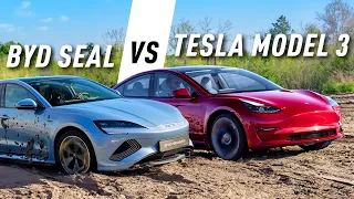 Tesla Model 3 vs BYD Seal - Fall of the King?