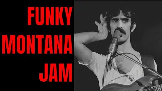 Zappa Style Montana Jam Guitar Backing Track (F# Minor / B Major)