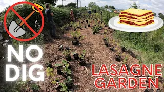 How to make a NO DIG Lasagne Garden