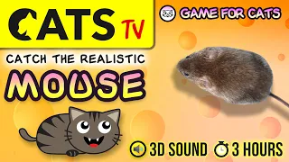 GAME FOR CATS  - The best MOUSE for CATS 🐭 3 HOURS  [CATS TV] 60FPS