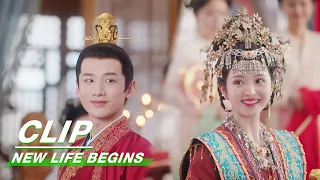 Yin Zheng and Li Wei's Official Grand Wedding | New Life Begins EP39 | 卿卿日常 | iQIYI