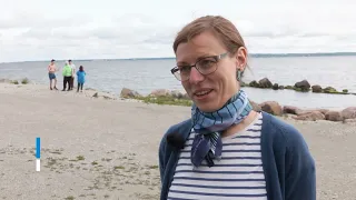 27.08.2023 - Ravimireostus hävitab elu Läänemeres