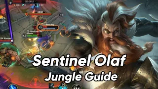 Sentinel Olaf Jungle Guide Wildrift