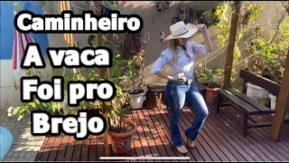 Caminheiro / A vaca foi pro brejo - Bruna Viola