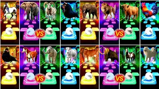 Funny Horses 🆚 Funny Elephant 🆚 Ferdinand 🆚 Funny Cow.Who In The Best👍Coffin Dance🎵🎵