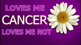 CANCER - They'll Love & Cherish U 4 The Rest Of Their Life | Feb 2022 "Loves Me Loves Me Not" Tarot