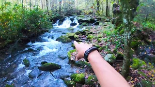 Small Stream Trout Fishing - Great Smoky Mountains National Park