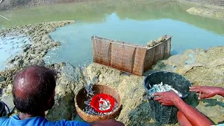 amazing fishing! a fisherman now catching fish a lot and field crabs, snails #Fishingbd