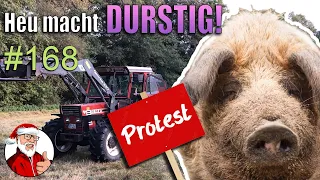 FarmVlog 168: Heu macht DURSTIG | Das Protestschwein ist da! #XMASDAILY 11.Dezember