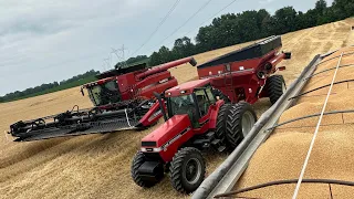 Wheat Harvest RECORD