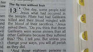 THE PARABLE OF THE FIG TREE AND MY REFLECTION