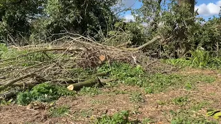 My Garden Odyssey Ep 36 - Creating a dead hedge Part 4