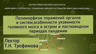 Полиморфизм поражений органов и систем головного мозга в остром и постковидном периодах пандемии