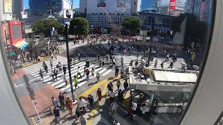 SHIBUYA CROSSING