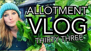 ALLOTMENT VLOG 33 - Overwintering Chilli Plants and Prepping Asparagus for 2021