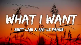 Britt Lari & Ray Le Fanue - What I Want [Lyrics] NCS