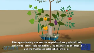 Anti desertification and reforestation with the Growboxx® plant cocoon