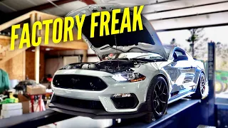 My 2021 Mach 1 Mustang Hits The Dyno... UNBELIEVABLE POWER FACTORY FREAK???