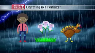 Weather Wonders - Lightning and Fertilizer