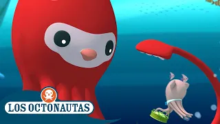 Los Octonautas Oficial En Español - El calamar gigante y el pepino de mar | Episodios Completos
