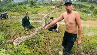 Team Of Hunters Rescues A Young Man Attacked By A Giant Snake | Python