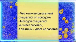 🔴 СУПЕР  ПОДБОРКА  ШУТОК  и  ПОЖЕЛАНИЙ  🔴 Перезапуск #16😁 Только для самых умных 🧠🧠🧠🧠🧠