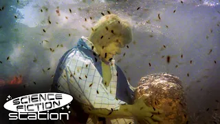 Hulk Fights A Swarm Of Bees! | The Incredible Hulk | Science Fiction Station