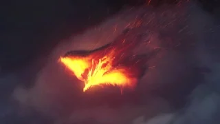 The Pheonix | Fire Logo Reveal ( After Effects Template ) ★ AE Templates