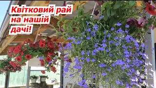 Flower beds at our dacha - what flowers do we grow and how do they look in July.