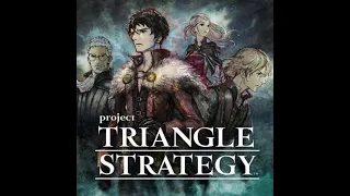 Battle Preparation  Project TRIANGLE STRATEGY