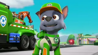 Paw Patrol Rocky Tribute for ROCKY FOFINHO