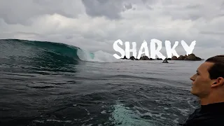 SURFING ALONE AT A DANGEROUS REEF BREAK!! (RAW POV)