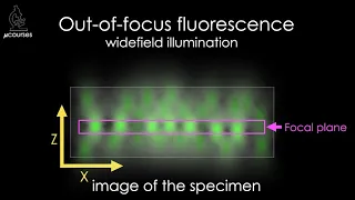 The Confocal Principle