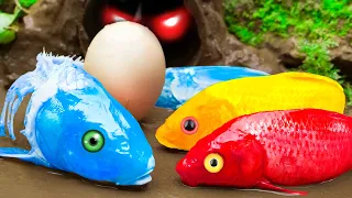 Mud Survival Battle - Skeleton Koi Fish Hunting Eel - Experiment Colorful Rainbow Stop Motion ASMR