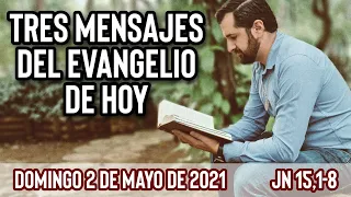 Evangelio de hoy Domingo 2 de Mayo (Jn 15,1-8) | (Tres Mensajes) Wilson Tamayo