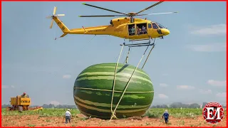 51 Most Satisfying Agriculture Machines And Ingenious Tools | Amazing Machines