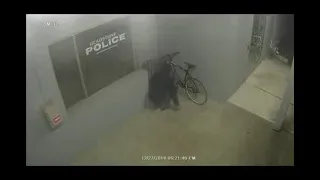 Gladstone PD surveillance video: Bike theft