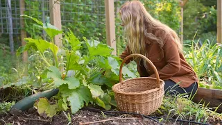 Fall is Here | Harvesting, Cooking and Foraging