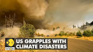 Heatwaves, floods, wildfires and thunderstorms across US | World News | WION Climate Tracker