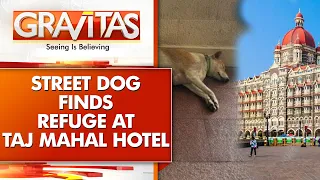 Gravitas: Mumbai's Taj Mahal hotel opens doors to dogs