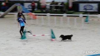 RENATA CAMIS & EMANEK ~ 4° place IFCS World Agility Championship 2019