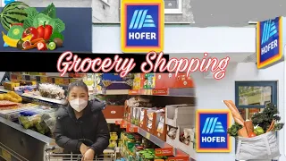 HOFER GROCERY HAUL/ WHAT I BUY WEEKLY FOR A FAMILY OF 3/ phendey family/ Tibetan vlogger