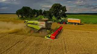 NiemRol 🚜 ŻNIWA 2021 🚜 CR 9.80 + LEXION 8700 🔥🔥🔥